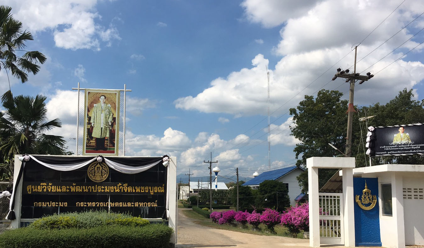 ศูนย์วิจัยและพัฒนาการเพาะเลี้ยงสัตว์น้ำจืดเพชรบูรณ์