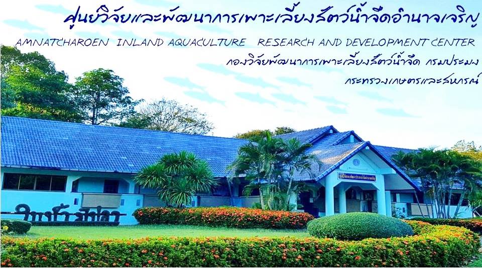 ศูนย์วิจัยและพัฒนาการเพาะเลี้ยงสัตว์น้ำจืดอำนาจเจริญ