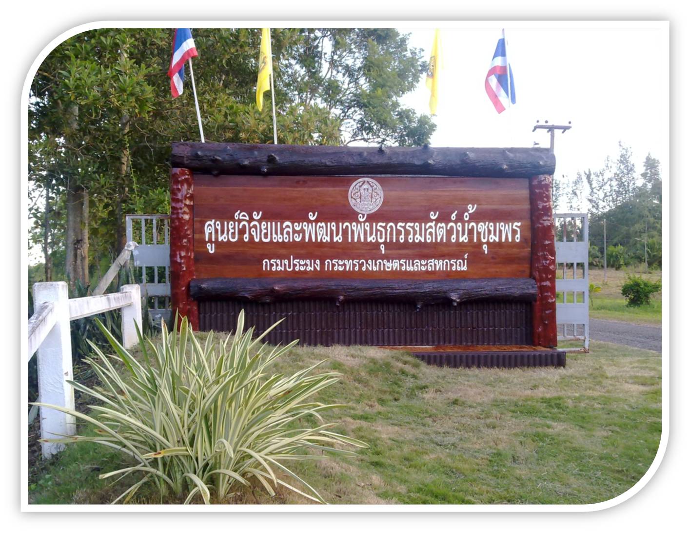 ศูนย์วิจัยและพัฒนาพันธุกรรมสัตว์น้ำชุมพร