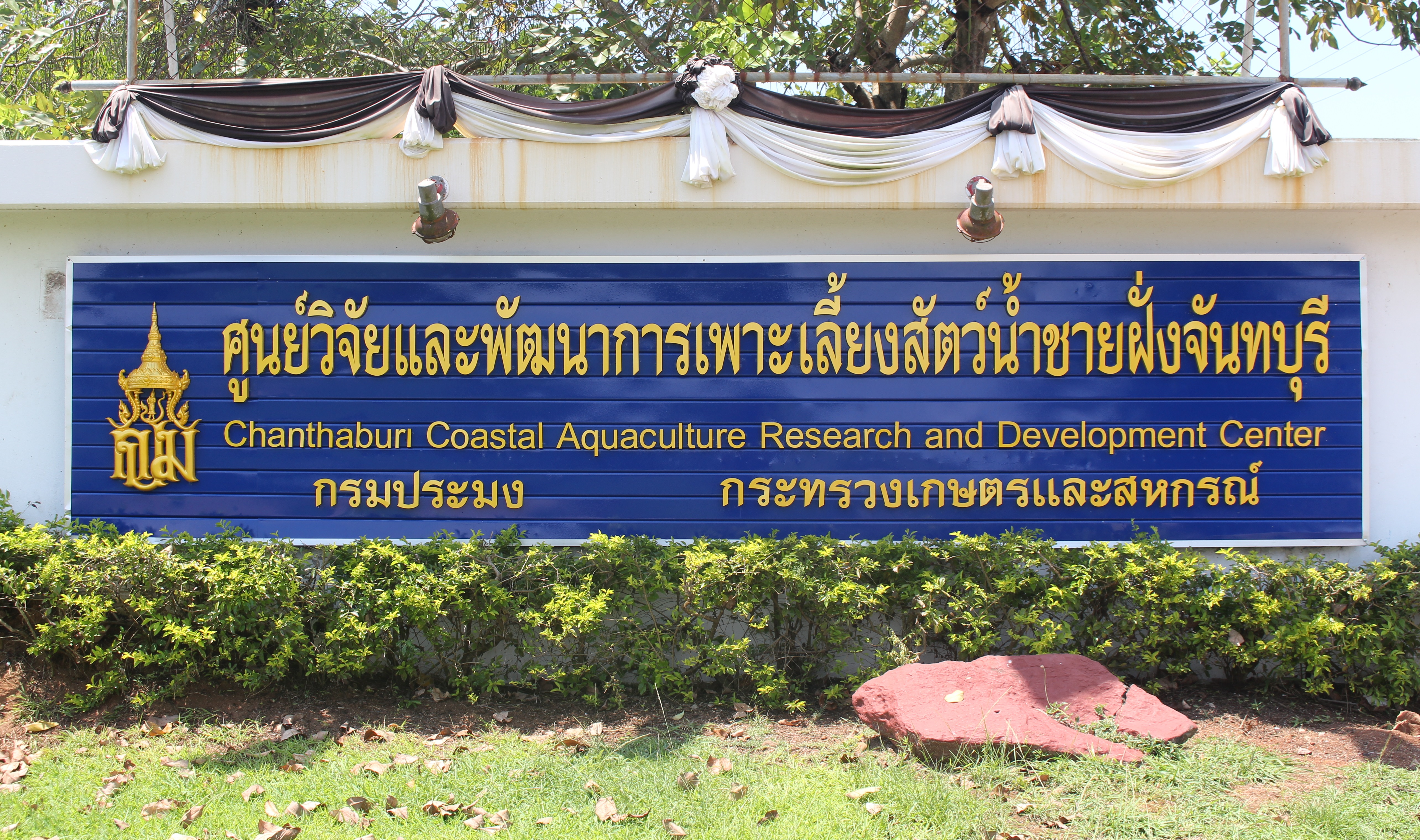 ศูนย์วิจัยและพัฒนาการเพาะเลี้ยงสัตว์น้ำชายฝั่งจันทบุรี