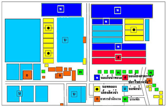ศูนย์วิจัยและพัฒนาการเพาะเลี้ยงสัตว์น้ำชายฝั่งสุราษฎร์ธานี