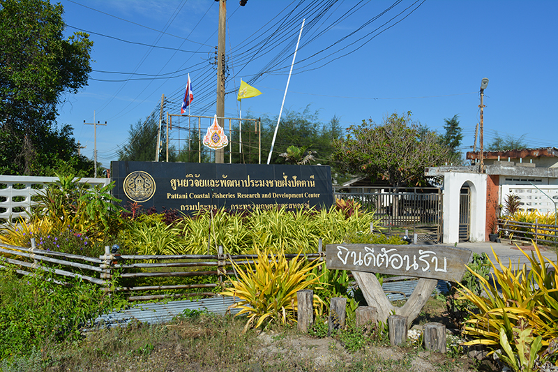 ศูนย์วิจัยและพัฒนาการเพาะเลี้ยงสัตว์น้ำชายฝั่งปัตตานี