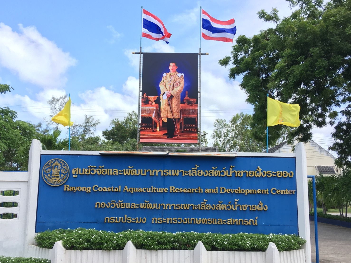 ศูนย์วิจัยและพัฒนาการเพาะเลี้ยงสัตว์น้ำชายฝั่งระยอง