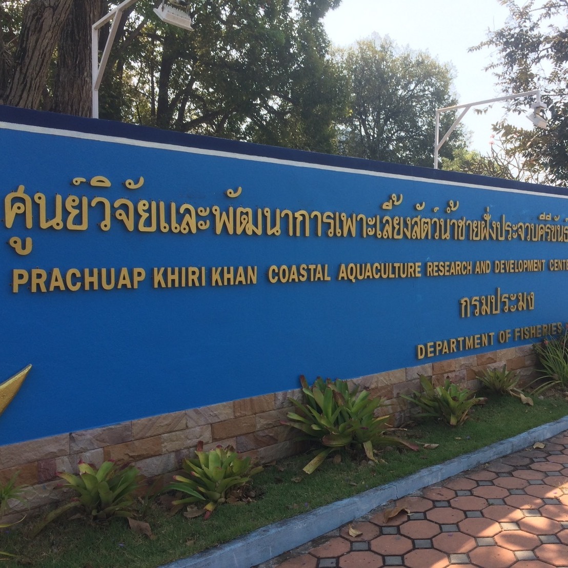 ศูนย์วิจัยและพัฒนาการเพาะเลี้ยงสัตว์น้ำชายฝั่งประจวบคีรีขันธ์
