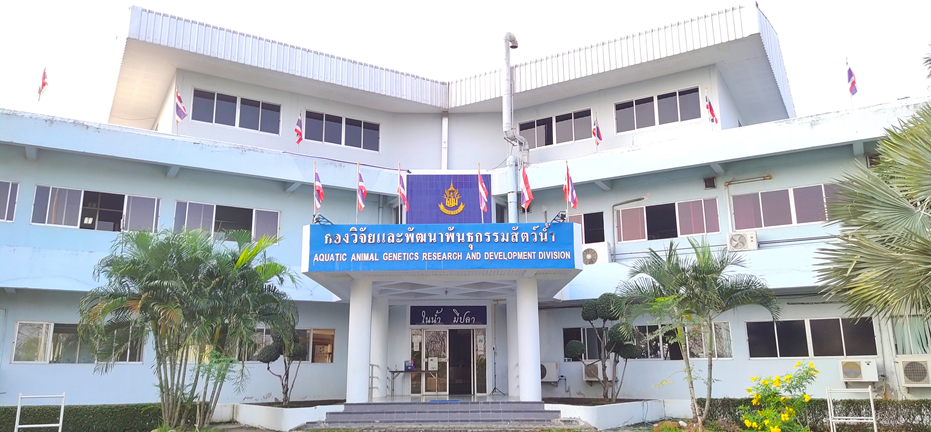 กลุ่มวิจัยและพัฒนาพันธุกรรมโมเลกุล