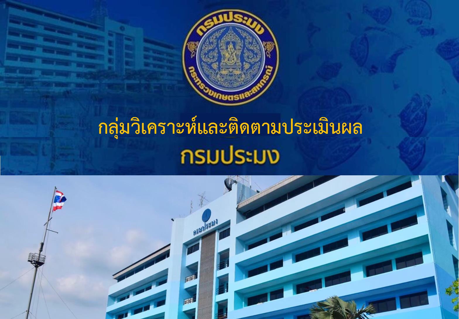 กลุ่มวิเคราะห์และติดตามประเมินผล