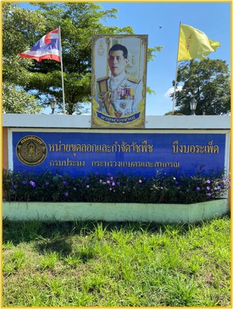 หน่วยขุดลอกและกำจัดวัชพืชบึงบอระเพ็ด
