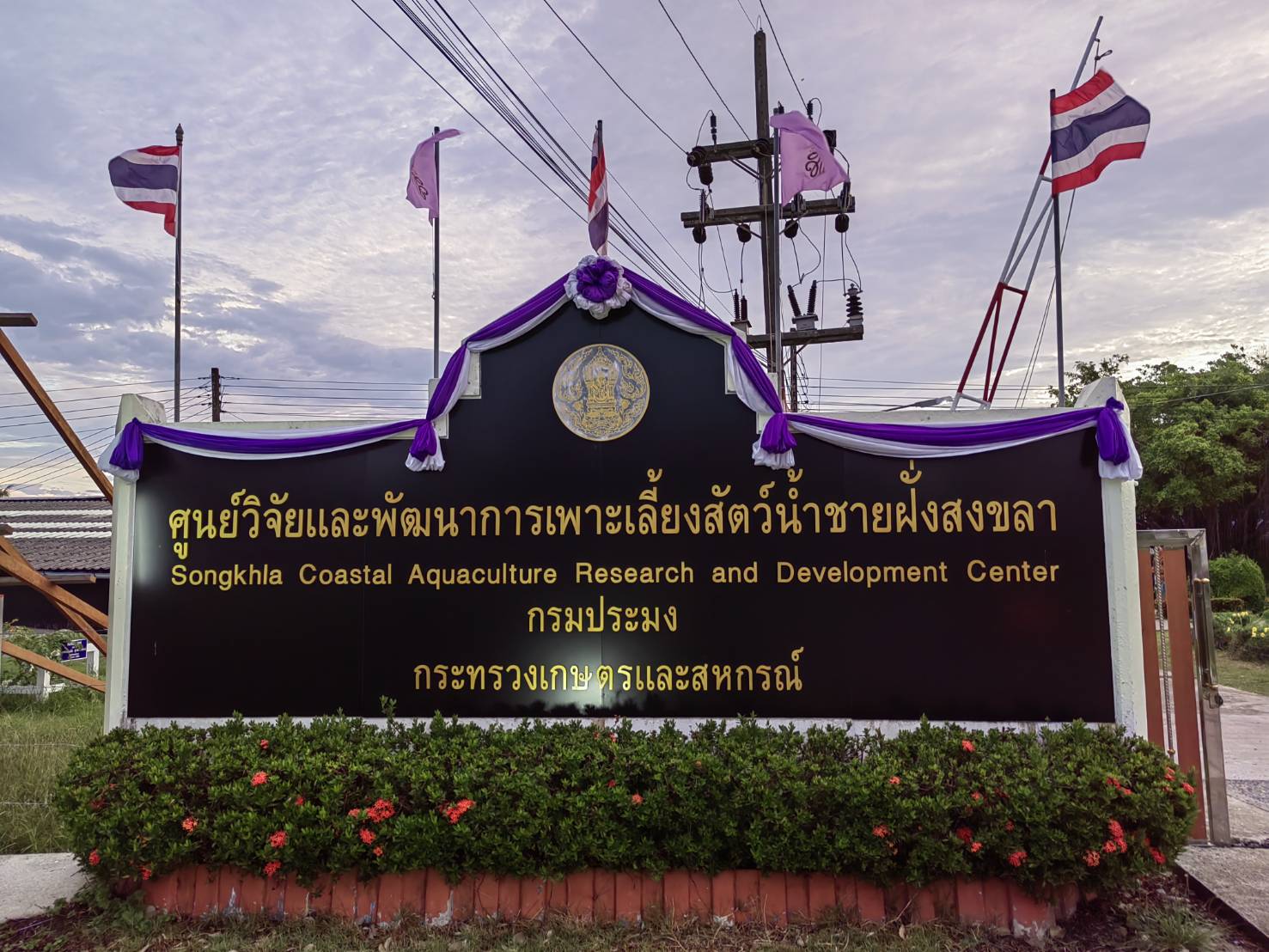 ศูนย์วิจัยและพัฒนาการเพาะเลี้ยงสัตว์น้ำชายฝั่งสงขลา