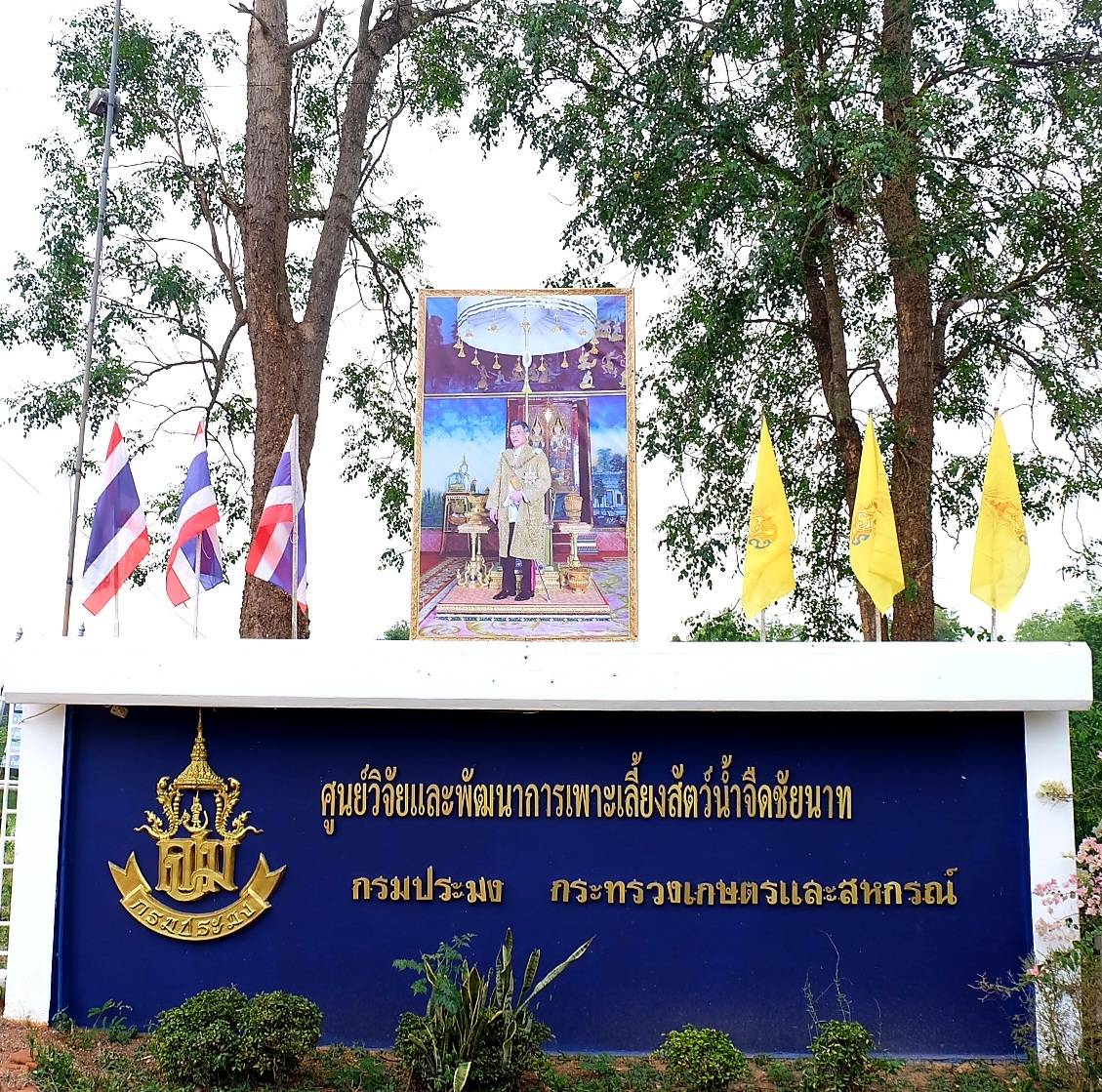 ศูนย์วิจัยและพัฒนาการเพาะเลี้ยงสัตว์น้ำจืดชัยนาท