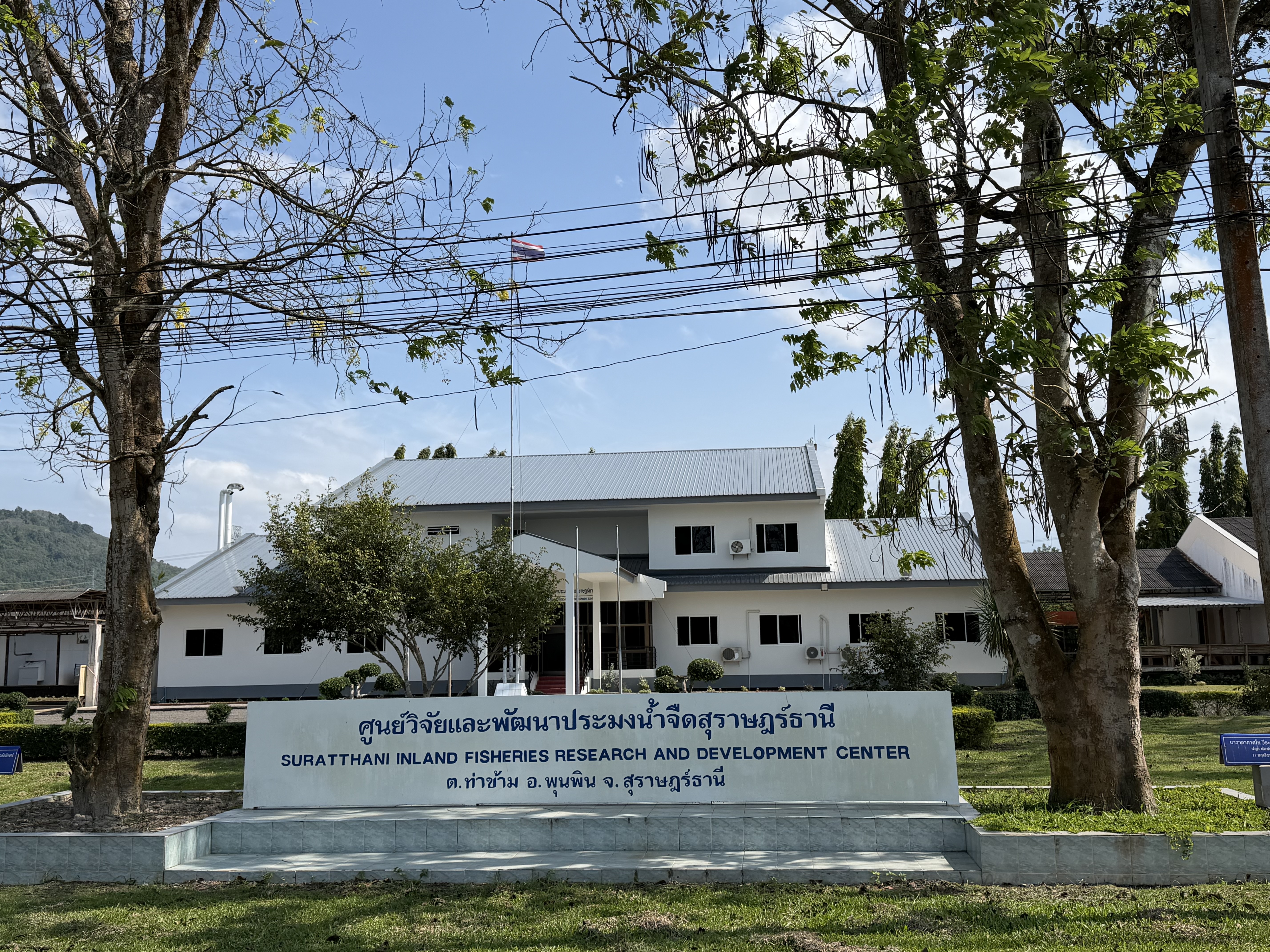 ศูนย์​วิจัยและพัฒนาประมงน้ำจืดสุราษฎร์ธานี
